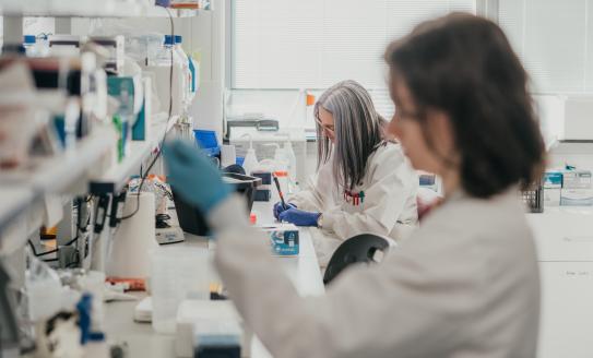 Photo showing two scientists in lab pipetting